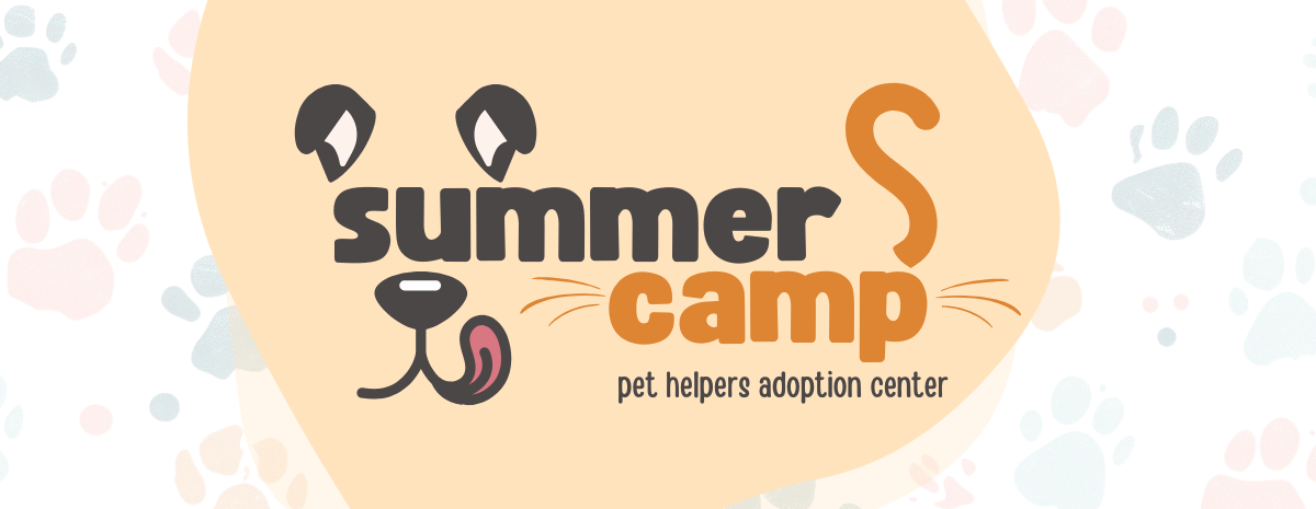 Pet Helpers Summer Camp 2026
